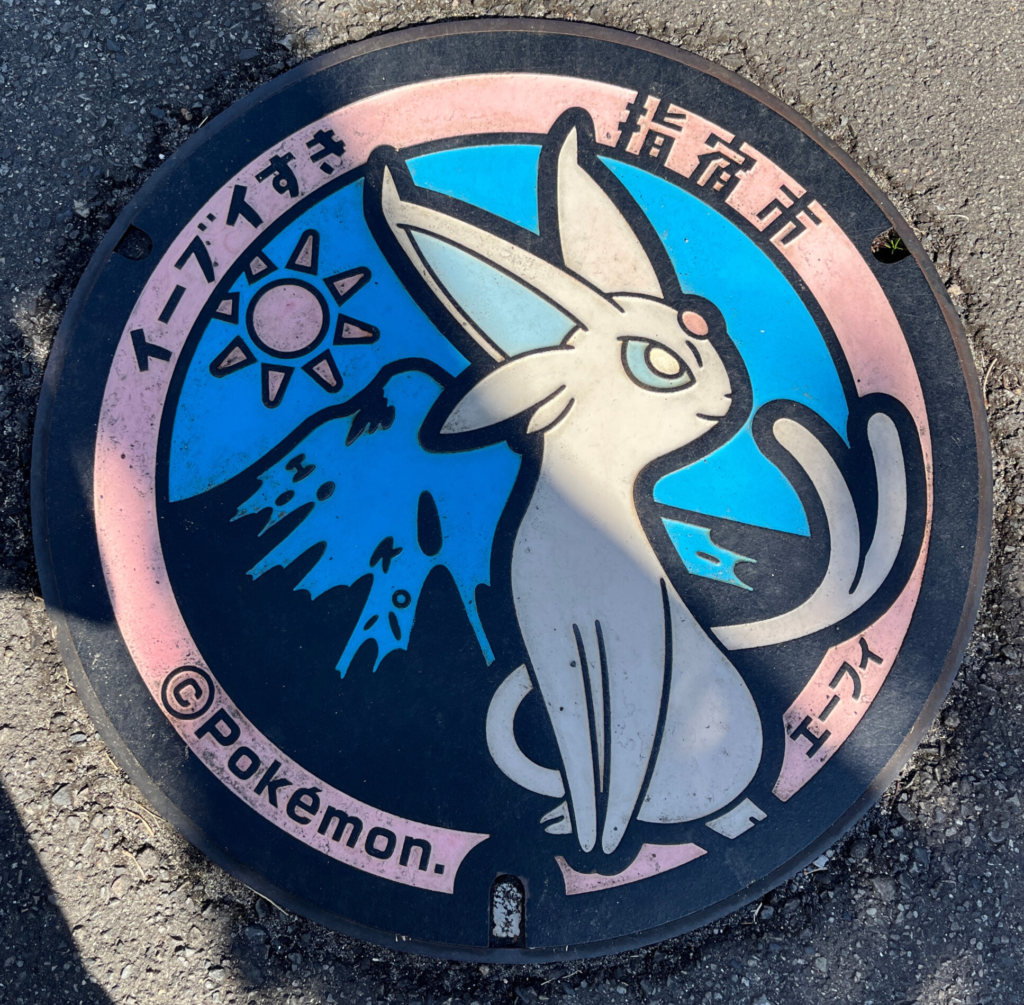 指宿ポケふた エーフィ セントラルパーク指宿