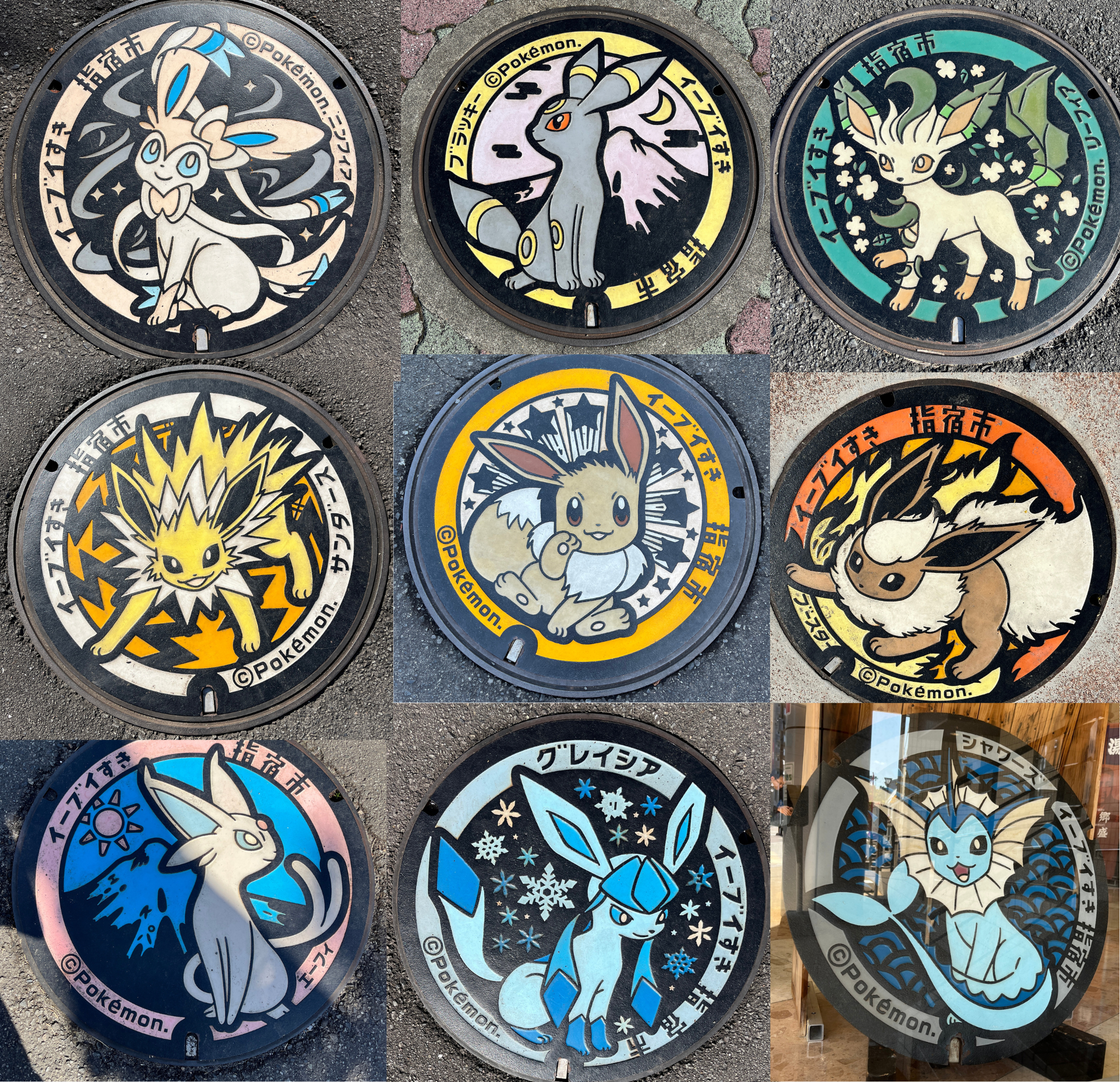 指宿市ポケふた　イーブイ　進化系